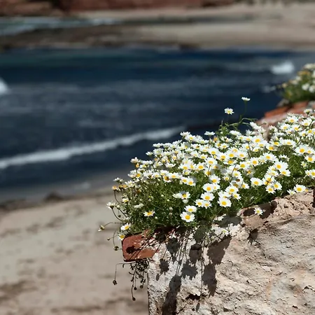 Villa German 114 By Bookmenorcavillas Sea Views Lejlighed *