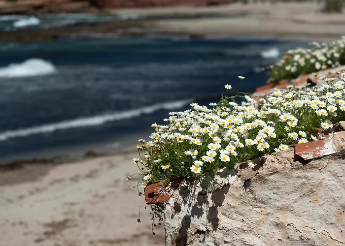 German 114 By Bookmenorcavillas Sea Views Lägenhet *